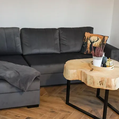 Semesterbostad Spis Na Podhalu